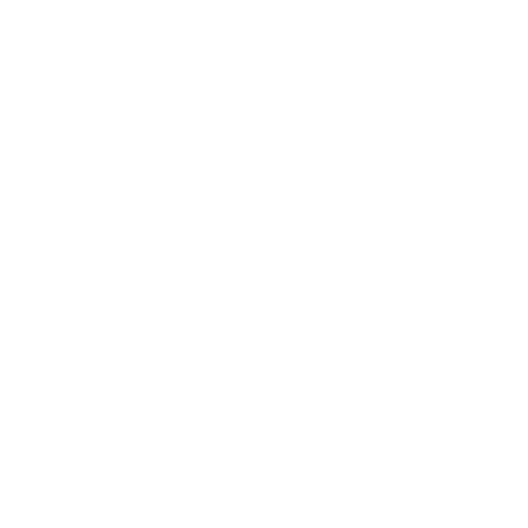 Logo Valledupar Cup